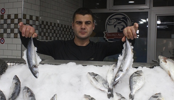 Balıkçılar Zonguldak'ta aradığını bulamayınca Hopa'ya yöneldi