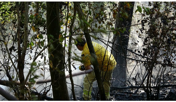 Zonguldak'ta ormanlık alanda yangın çıktı