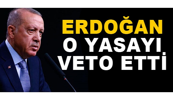 Cumhurbaşkanı Erdoğan tepki çeken yasayı veto etti