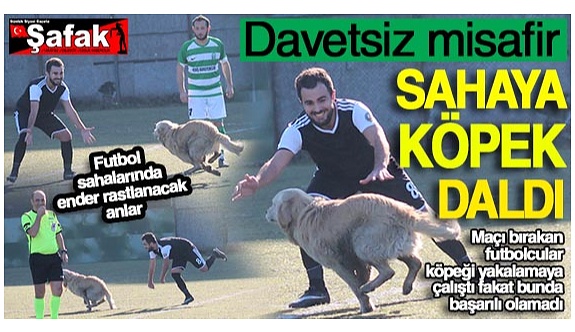 Futbolcular maçı bıraktı, sahaya giren köpeği yakalamaya çalıştı!