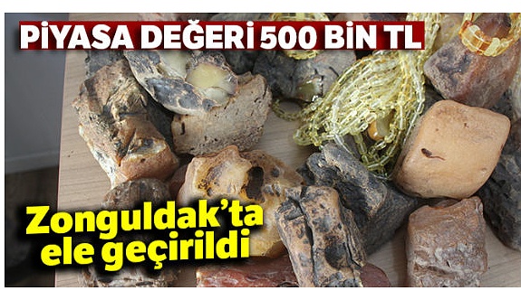 Zonguldak'ta ele geçirildi! Değeri 500 bin TL...