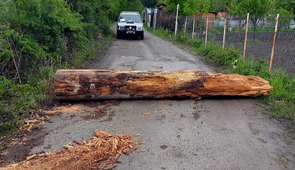 Korona virüs dolayısıyla köyün girişlerini ağaç tomruklarla kapattı