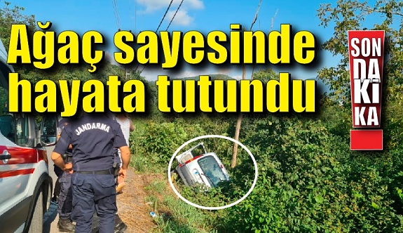 Uçuruma yuvarlanmaktan ağaç kurtardı - Zonguldak Haberleri