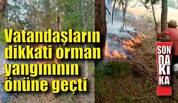 Vatandaşların dikkati orman yangınının önüne geçti