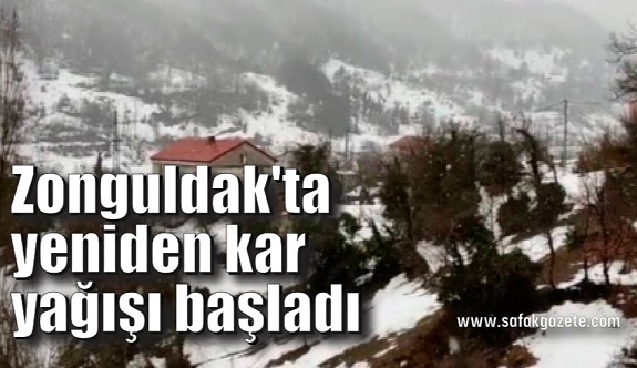 Zonguldak'ta yeniden kar yağışı başladı