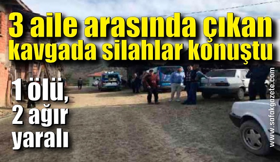 Kastamonu'da 3 aile arasında çıkan kavgada silahlar konuştu