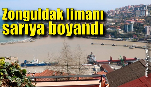 Zonguldak limanı sarıya boyandı