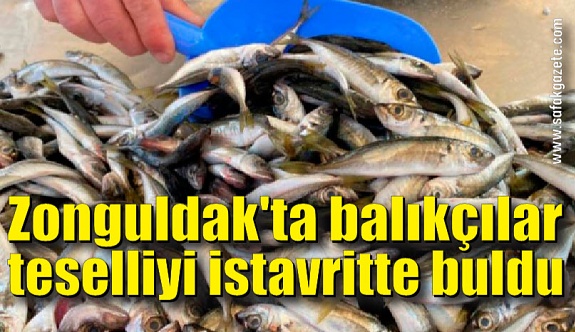 Zonguldak'ta balıkçılar teselliyi istavritte buldu