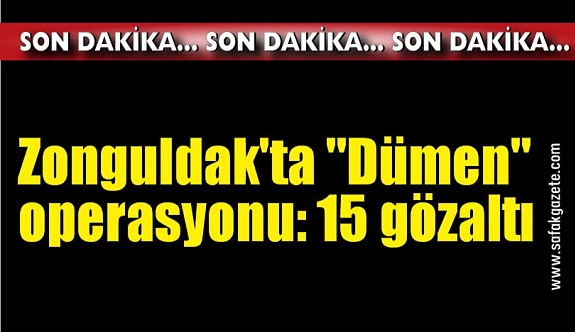 Zonguldak'ta "Dümen" operasyonu: 15 gözaltı