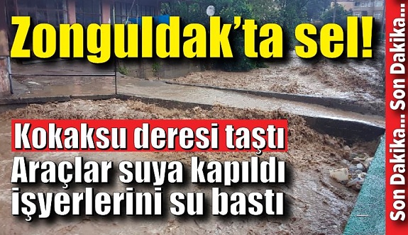 Zonguldak'ta sel! Kokaksu deresi taştı
