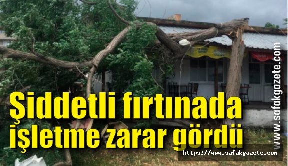 Zonguldak'ta şiddetli fırtınada işletme zarar gördü