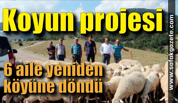 6 aile koyun projesi ile yeniden köyüne döndü